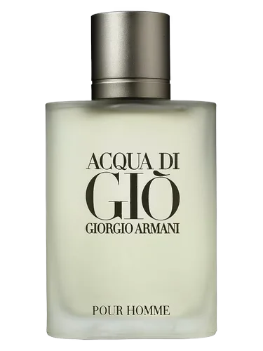 ARMANI ACQUA DI GIO EDT 100ML